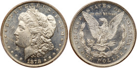 1878 Morgan Dollar. 8 tail feathers