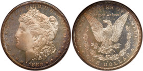 1880-S Morgan Dollar. NGC MS66