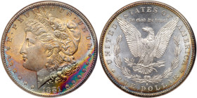 1881-S Morgan Dollar. NGC MS64