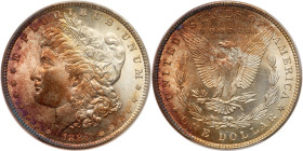 1889 Morgan Dollar. PCGS MS66