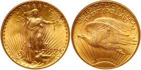 1924 $20 St. Gaudens. NGC MS64