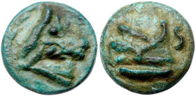 Central Italy, Uncertain. Aes Grave Semis 55 mm, (176.07 g), 3rd century BC. XF