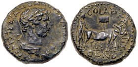 Hadrian. Æ (10.79 g), AD 117-138. XF