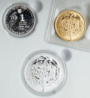 Israel. Gold 10 New Sheqalim plus silver 2 and 1 New Sheqel, 2004. PF