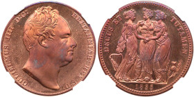 Great Britain. William IV 1835-dated Great Britain 'Crown.'. NGC PF66