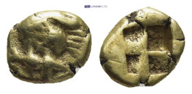 MYSIA, Kyzikos. Circa 550-450 BC. EL Hemihekte – Twelfth Stater (8mm, 1.32 g). Forepart of lion left, head reverted; to right, tunny downward / Quadri...