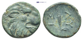Thrace, Lysimacheia, c. 309-220 BC. Æ (14mm, 2.51g, 3h). Head of lion r. R/ Grain ear.