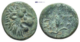 Thrace, Lysimacheia, c. 309-220 BC. Æ (17mm, 3.5g). Head of lion r. R/ Grain ear.