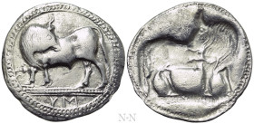 LUCANIA. Sybaris. Nomos - Stater (Circa 550-510 BC)