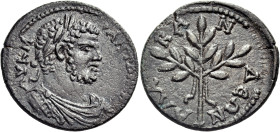 CARIA. Alabanda. Caracalla, 197-217. (Bronze, 28 mm, 8.32 g, 12 h). AΥ Κ Μ ΑΝΤΩΝΙΝΟΣ Laureate, draped and cuirassed bust of Caracalla. Rev. ΑΛΑRΑΝΔЄΩΝ...