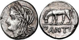 CIMMERIAN BOSPOROS. Pantikapaion. Circa 355-340 BC. Tetradrachm (Silver, 26.5 mm, 15.77 g, 12 h). Laureate head of Apollo to left. Rev. ΠANTI Horse gr...