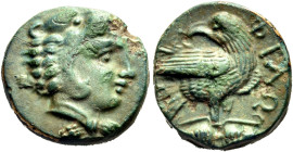 MACEDON, Local Dynasts. Philotas, Circa 400-380 BC. Chalkous (Bronze, 13 mm, 2.65 g, 3 h), Uncertain mint in Upper ( Northern ) Macedonia. Head of you...