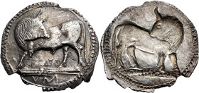 LUCANIA. Sybaris. Circa 550-510 BC. Nomos (Silver, 29 mm, 7.05 g, 12 h). VM ( in the exergue ) Bull standing to left, its head turned back to look to ...