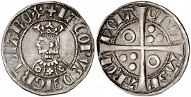Jaume II (1291-1327). Barcelona. Croat. (Cru.V.S. 338) (Badia 126, mismo ejemplar) (Cru.C.G. 2155b). 3,06 g. Flores de seis, cuatro y seis pétalos en ...