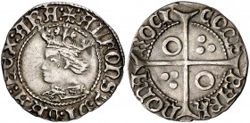 Alfons IV (1416-1458). Perpinyà. Croat. (Cru.V.S. 825.9 var) (Badia falta) (Cru.C.G. falta). 3,18 g. Rayita en reverso. Atractiva. Rara y más así. MBC...