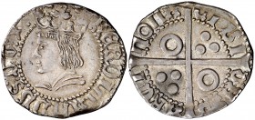 Ferran II (1479-1516). Barcelona. Croat. (Cru.V.S. 1137.2) (Badia 776 sim) (Cru.C.G. 3066c) (Cal. 102). 3,23 g. Bella pátina. Rara y más así. EBC.