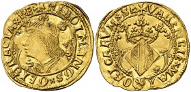 Ferran II (1479-1516). València. Ducat. (Cru.V.S. 1208) (Cru.C.G. 3118b) (Cal. 70). 3,47 g. Muy bella. Brillo original. Comprada por Xavier Calicó en ...
