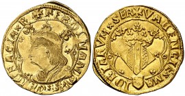 Ferran II (1479-1516). València. Ducat. (Cru.V.S. 1211) (Cru.C.G. 3117) (Cal. 60, mismo ejemplar). 3,50 g. Sin marcas. Bellísima. Comprada por Xavier ...
