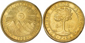 1828. Costa Rica. F. 8 escudos. (Cal.Onza 1746) (Fr. 1) (Kr. 17). 26,78 g. AU. Acuñación ligeramente floja. Precioso color. Restos de brillo original....