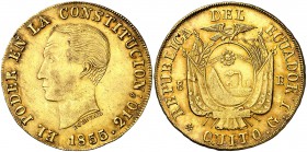1855/2. Ecuador. Quito. GJ. 8 escudos. (Cal.Onza 1774) (Fr. 8) (Kr. 34.1). 26,79 g. AU. Mínimas marquitas. Bella. Precioso color. Rara y más así. EBC+...