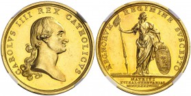 1789. Carlos IV. Madrid. Medalla. (Ha. 63 var. por metal) (V. 85) (V.Q. 13.117) (Almagro-Gorbea 347 var. por metal). 46,57 g. Ø38 mm. Oro. Grabador: P...