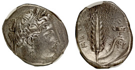 Ch XF 5/5 3/5 | Lucania Metapontum silver Stater