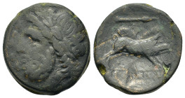 Italy. Northern Apulia, Arpi, c. 325-275 BC. Æ (21mm, 9.2g). Laureate head of Zeus to left; thunderbolt behind. R/ Boar charging to right; spear-head ...