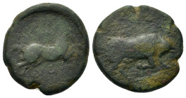 Italy. Northern Apulia, Arpi, c. 275-250 BC. Æ (20,5mm, 8.2g). Bull butting to right. R/ Horse galloping to right; ΑΡΠΑ-ΝOY above and below. Cf. HN It...