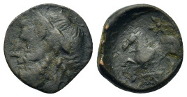 Italy. Northern Apulia, Arpi, c. 325-275 BC. Æ (15,4mm, 3.3g). Laureate head of Zeus l. R/ Horse rearing l.; star above, monogram below. HNItaly 644