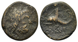Italy. Southern Apulia, Brundisium, c. 2nd century BC. Æ Semis (18,9mm, 5.8g). Wreathed head of Neptune r.; to l., Victory, crowning him with wreath; ...
