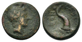Italy. Lucania, Thourioi(?), c. 280-270 BC. Æ (15,3mm, 4g). Laureate head of Apollo r. R/ Cornucopiae. HN Italy 1929 var.; HGC 1, 1299.