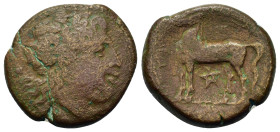 Italy. Bruttium, Nuceria, c. 225-200(?) BC. Æ (21,6mm, 8.3g). Laureate head of Apollo right; uncertain symbol below. R/ Horse standing left; pentagram...