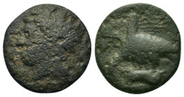Sicily, Akragas. Time of Phintias (287-282 BC). Æ (18,3mm, 5.8g). Beardless and laureate head of Zeus Hellanios to left. R/ Two eagles grasping hare t...