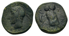 Sicily, Kamarina, c. 420-405 BC. Æ Tetras (13,4mm, 2.7g). Helmeted head of Athena left. R/ Owl standing left, head facing, grasping lizard; three pell...
