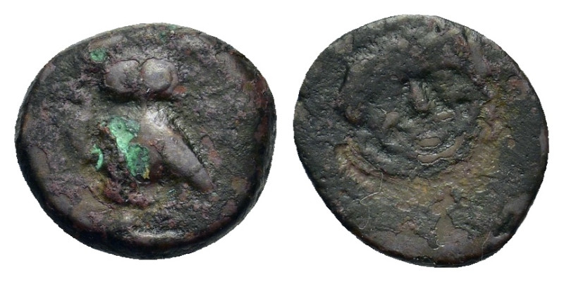 Sicily, Kamarina, c. 420-405 BC. Æ Onkia (11,4mm, 1.1g). Facing gorgoneion with ...