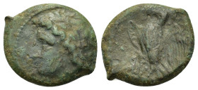 Sicily, Syracuse. Hiketas II (287-278 BC). Æ (19mm, 4.44 g, 3h). Laureate head of Zeus Hellanios l. R/ Eagle standing left on thunderbolt, with wings ...