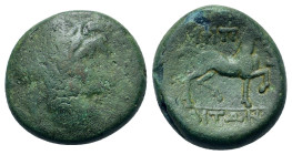 Macedon, Amphipolis, after 148 BC. Æ (16,5mm, 4.4g). Head of Poseidon to right, wearing tainia. R/ Horse prancing to right; AMΦIΠOΛITΩN above and belo...