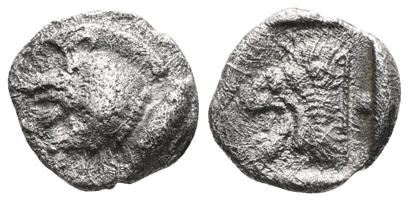 Mysia. Kyzikos 450-400 BC. Obol AR Forepart of boar left, behind tunny upward / ...