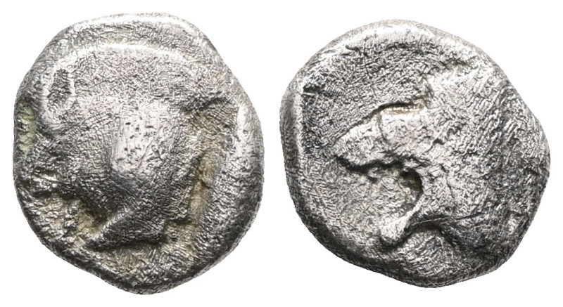 Mysia. Kyzikos 450-400 BC. Obol AR Forepart of boar left, behind tunny upward / ...