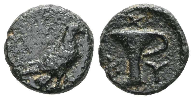 Aeolis. Kyme . ΑΠΟΛΛΟΔΩΡΟΣ, magistrate 320-250 BC. Ae
 Weight: 1,3 gr Diameter:...