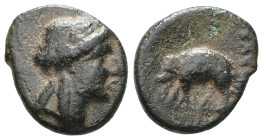 Greek Seleukid Kingdom, Antiochos III Megas, AE,(Bronze), 222-187 BC. Sardes. Seleukid Kingdom, Antiochos III Megas, AE,(Bronze), 222-187 BC. Sardes. ...