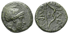 Kings of Pergamon. Pergamon. Philetairos 282-263 BC.
Bronze Æ. (Repatinated)

Weight: 2 gr Diameter: 12,2 mm