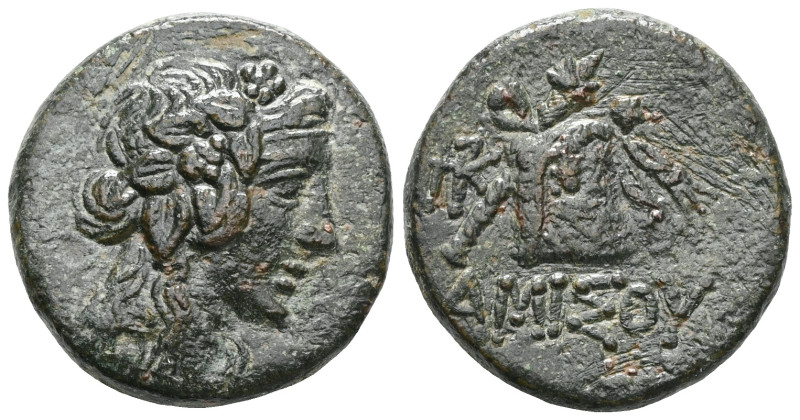 PONTOS, Amisos. temp. Mithradates VI. Circa 85-65 BC. Wreathed head of Mithradat...