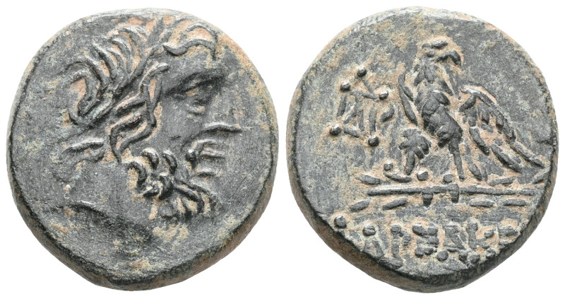 Pontos. Pharnakeia circa 95-90 BC. Bronze Æ Laureate head of Zeus right / ΦAPNAK...