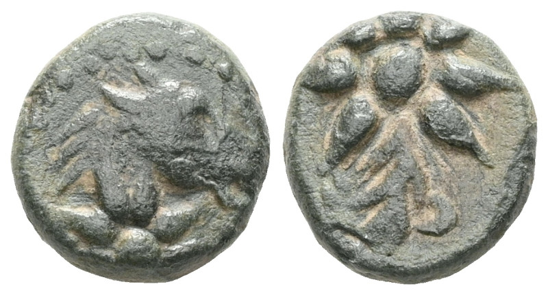 PONTOS. Uncertain. Time of Mithradates VI, circa 130-100 BC. AE
 Weight: 1,6 gr...