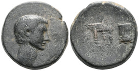 Roman Provincial Asia Minor. Uncertain mint. Gaius Sosius? AD 38. Bronze Æ
 Weight: 18,5 gr Diameter: 26,6 mm