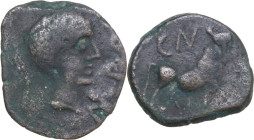 Hispania. Iberia, Castulo. AE Semis, c. 1st Century BC. Obv. Laureate head of Apollo to right. Rev. Bull standing right; CN above. AE. 4.14 g. 19.00 m...
