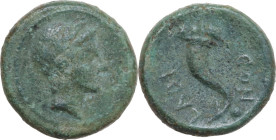 Greek Italy. Eastern Italy, Larinum. AE Uncia, c. 210-175 BC. Obv. Young male head right. Rev. Cornucopiae; to right below, pellet; around, LADINOD. H...