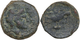 Greek Italy. Northern Apulia, Salapia. AE 17 mm. c. 225-210 BC. Obv. ΣΑΛΑΠΙΝΩΝ. Head of young Pan right, pedum at shoulder. Rev. Hawk right, wings clo...