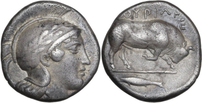 Greek Italy. Southern Lucania, Thurium. AR Didrachm, c. 443-400 BC. Obv. Head of...